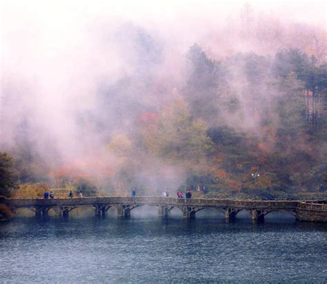 我願化作石橋出處|我願化身石橋